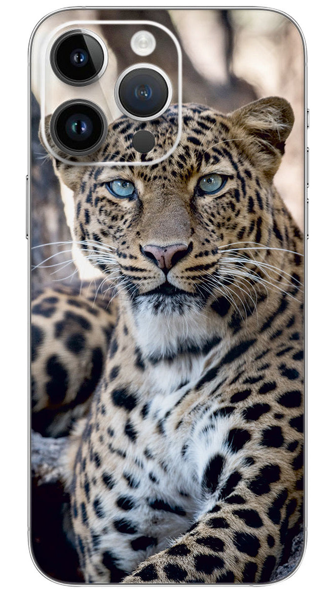 Amur leopard Mobile Skin Wrap  - ANI0031